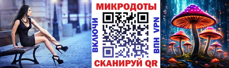 Псилоцибиновые грибы Cubensis  Нерехта 